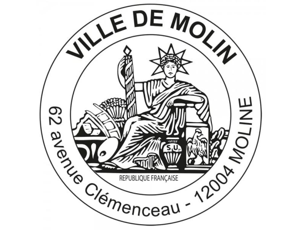 PLAQUE TIMBRE OFFICIEL 40MM MAPLAQUE - MODLE OFFICIEL -  MAX 40 mm